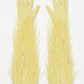 HAZEL GLOVES